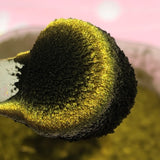 Magnetic Carpe Diem #0693 (1gr)