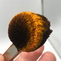 Magnetic 5D Turn Into Pumpkin #0328 (0.5gr)