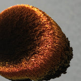 Magnetic Chestnut #0622 (1gr)