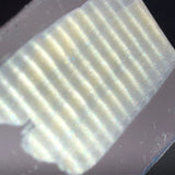 Magnetic Crème Pearl #0545 (2gr)