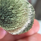 Magnetic Wheat Ecru #0358 (1gr)