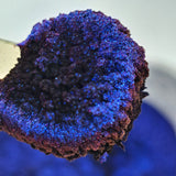 Sample Size September 2025