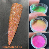 Sample Size Reflective Glitter Chameleon 2026