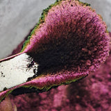 Magnetic Velvet 06 #0793 (1gr)