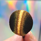 Magnetic 5D Brown Gold #0890 (0.5gr)
