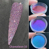Sample Size Reflective Glitter Chameleon 2026