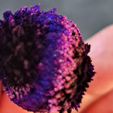 Magnetic 5D Just Amazing #0559 (1gr)
