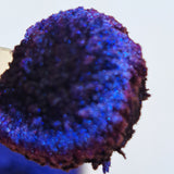 Sample Size September 2025