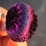 Sample Size September 2025