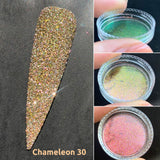 Sample Size Reflective Glitter Chameleon 2026