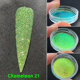 Sample Size Reflective Glitter Chameleon 2026