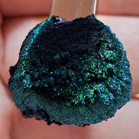 Magnetic Velvet 13 #0213 (1gr)