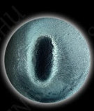 Magnetic 9D Super Fine Sample Size