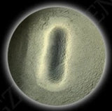 Magnetic 9D Super Fine Sample Size