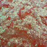 Pastel Flake Pink Gold Coral Green #0448 (1gr)