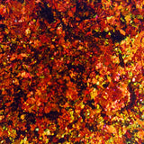 Multicolor Flake Red Gold Green #0409 (0.5gr)