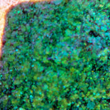 Pastel Flake Green Teal Purple #0438 (0.5gr)