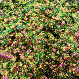 Multicolor 14 #0387 (0.5gr)