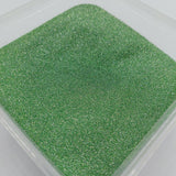 Reflective Glitter Green Holo #0479 (2gr)