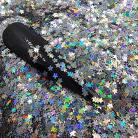 Glitter Holographic Star Silver #0194 (2gr)
