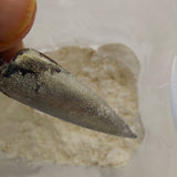 Flash Gold #0151 (2gr)