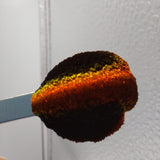 Magnetic Love #0311 (0.5gr)