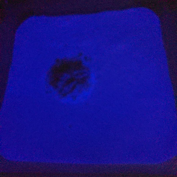 GITD White Purple #0172 (5gr)